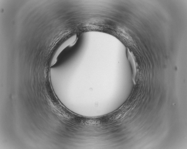 X0000087360546200705111647