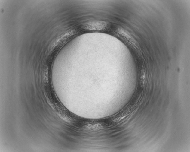 X0000087360547200705111647