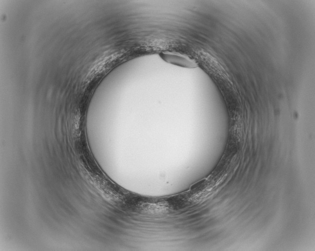 X0000087360548200705111647