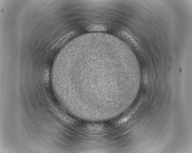 X0000087360549200705111647