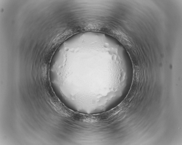 X0000087360550200705111647