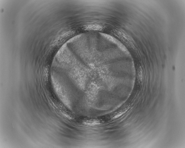 X0000087360551200705111647