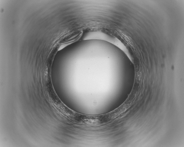 X0000087360552200705111647