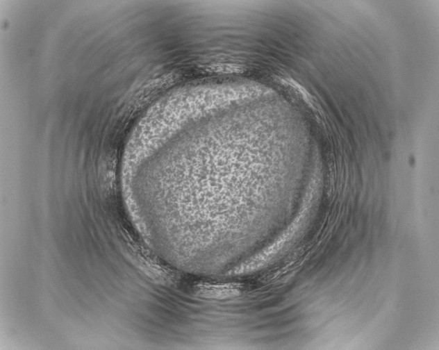 X0000087360553200705111647