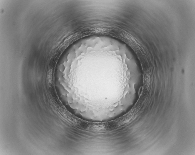 X0000087360554200705111647