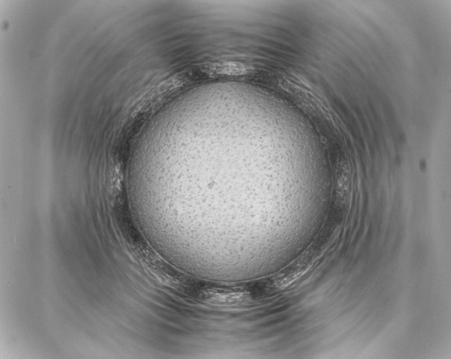 X0000087360555200705111647