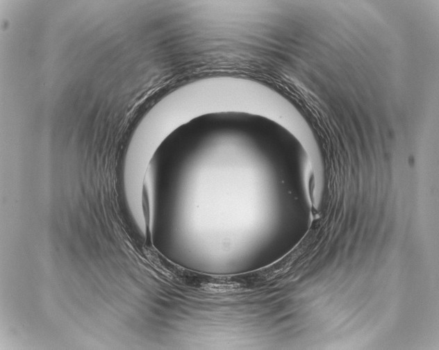 X0000087360556200705111648