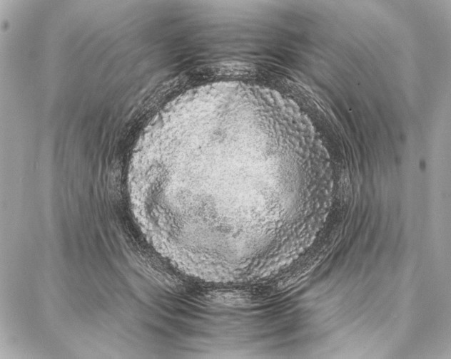 X0000087360557200705111648