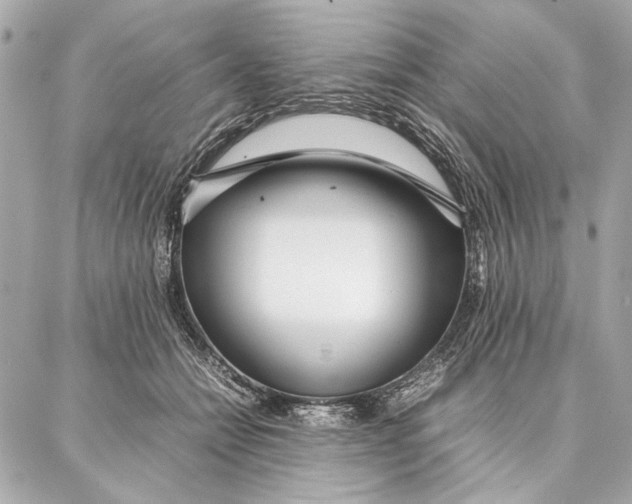 X0000087360558200705111648