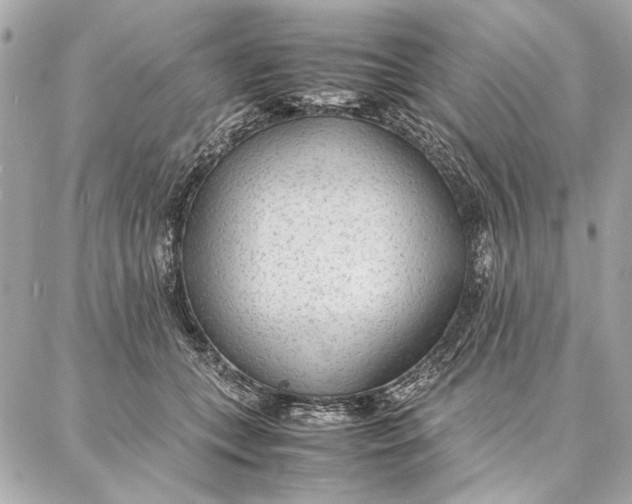 X0000087360559200705111648