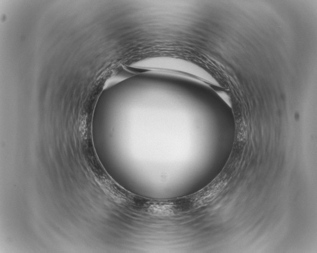 X0000087360560200705111648