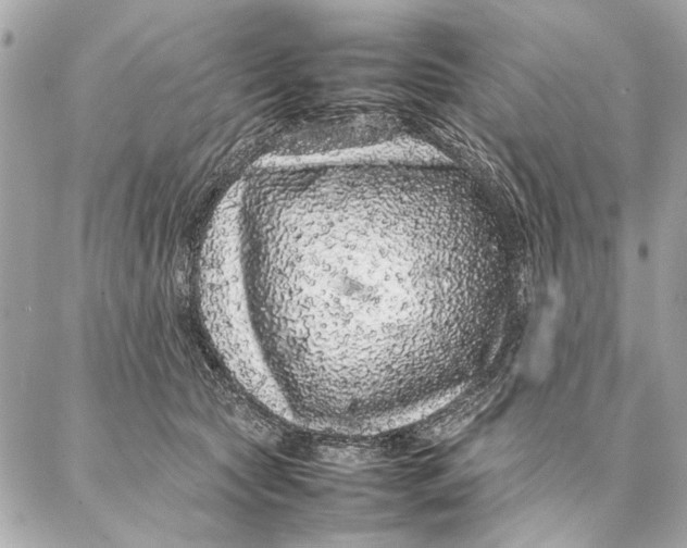 X0000087360561200705111648