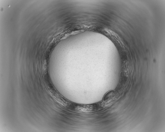 X0000087360563200705111648