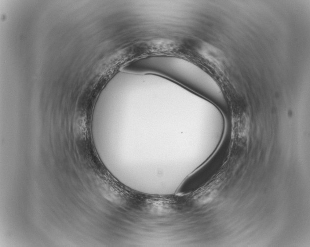 X0000087360564200705111648