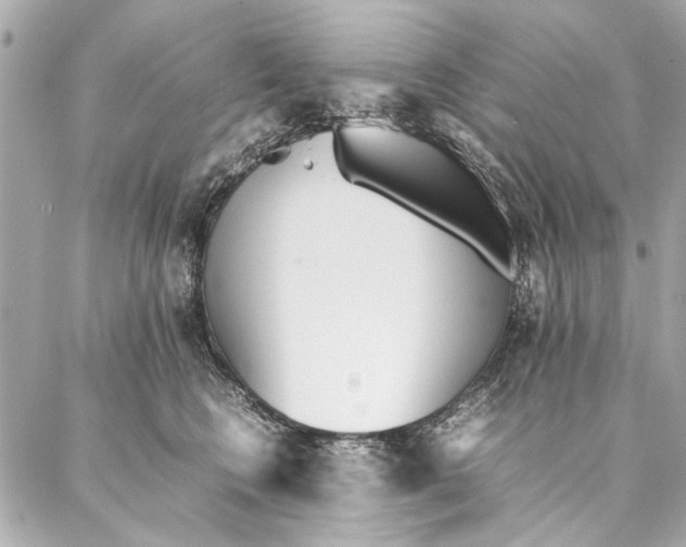 X0000087360566200705111648