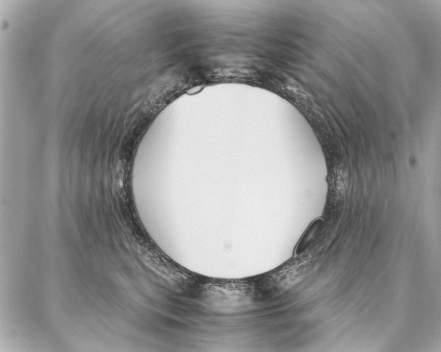 X0000087360567200705111648