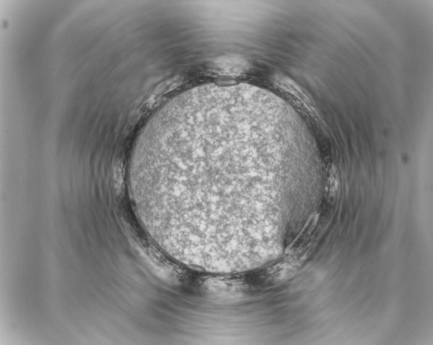 X0000087360568200705111648