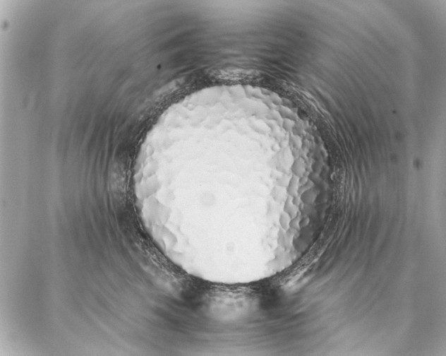 X0000087360569200705111648