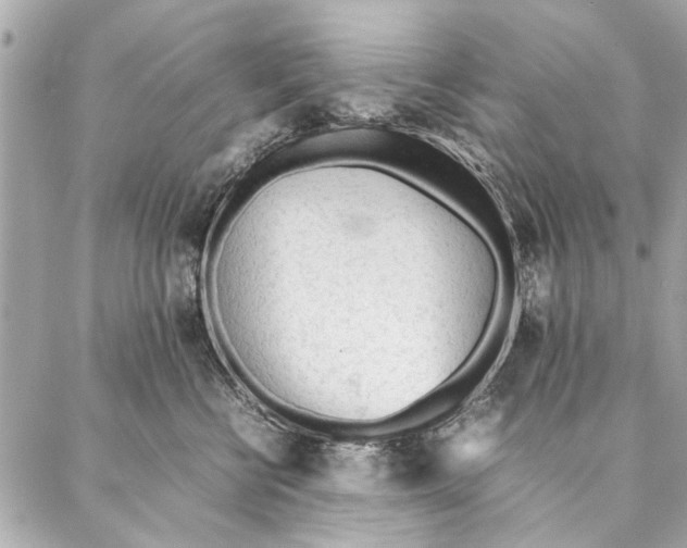 X0000087360570200705111648