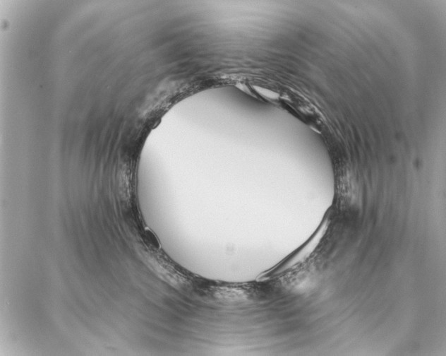 X0000087360572200705111648