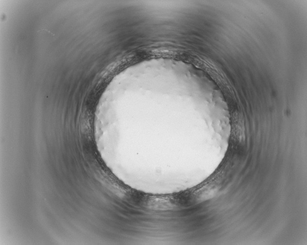 X0000087360573200705111648