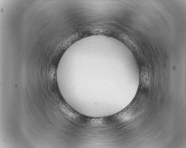 X0000087360574200705111648