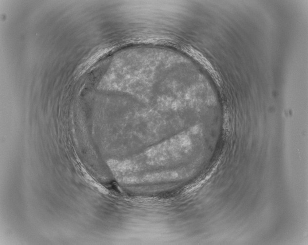 X0000087360577200705111647