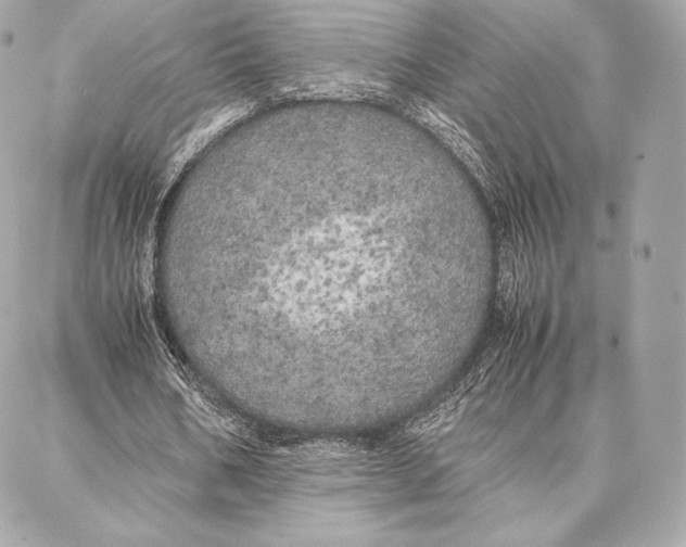 X0000087360578200705111647