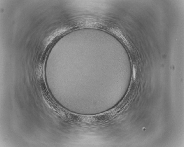 X0000087360579200705111647