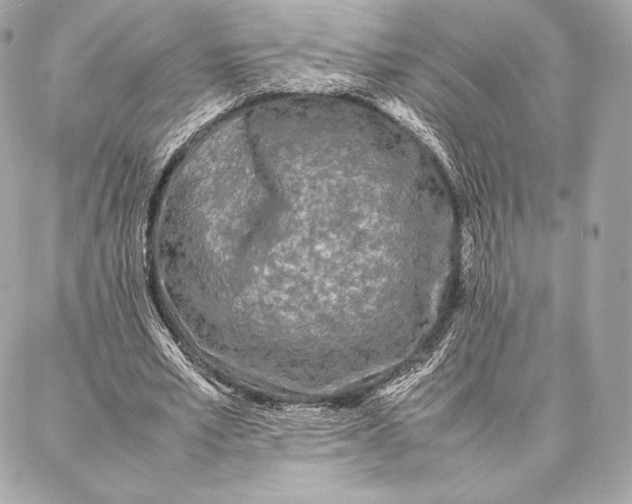 X0000087360581200705111647