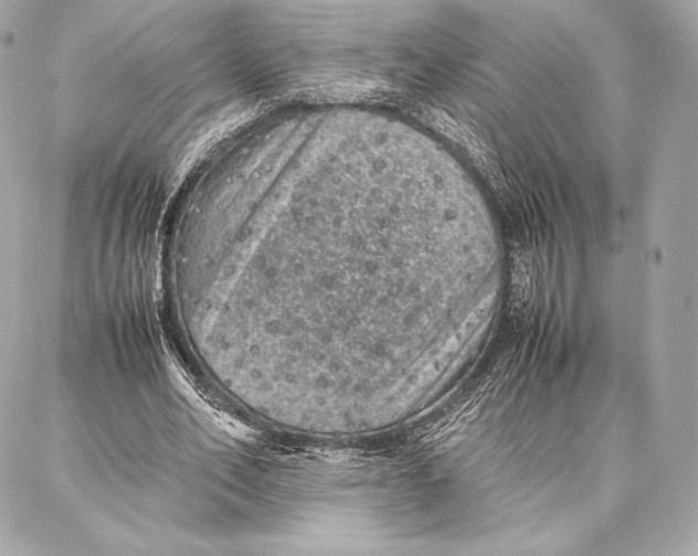 X0000087360582200705111647