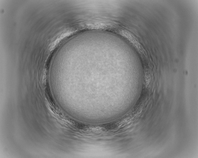 X0000087360583200705111647