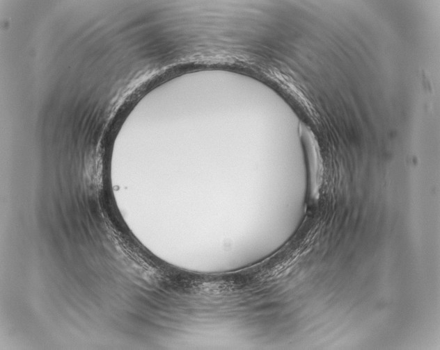 X0000087360584200705111647