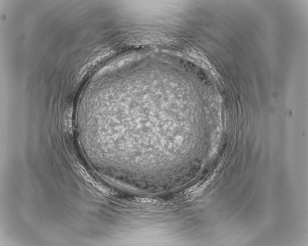 X0000087360585200705111647