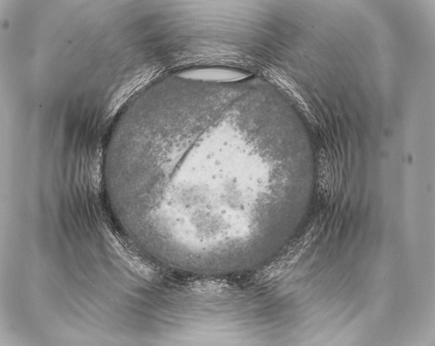 X0000087360586200705111647