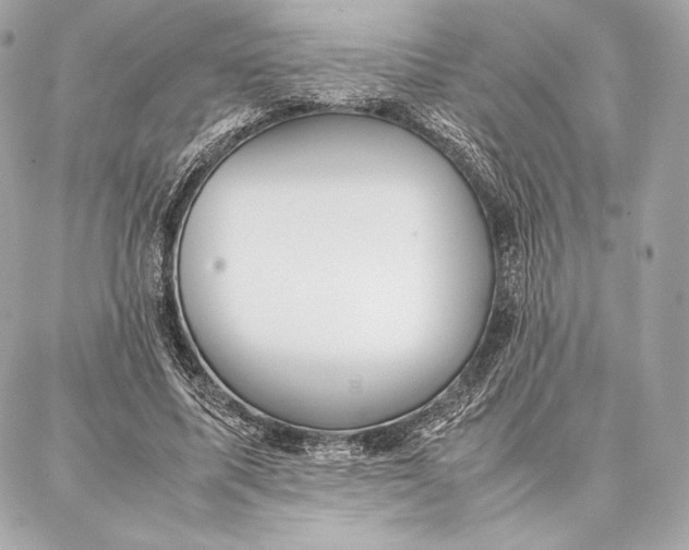 X0000087360587200705111647