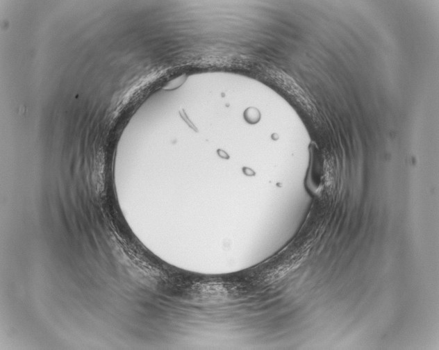 X0000087360588200705111647