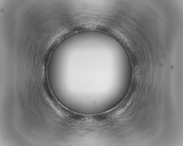 X0000087360589200705111647