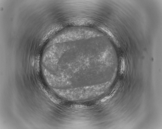 X0000087360590200705111647