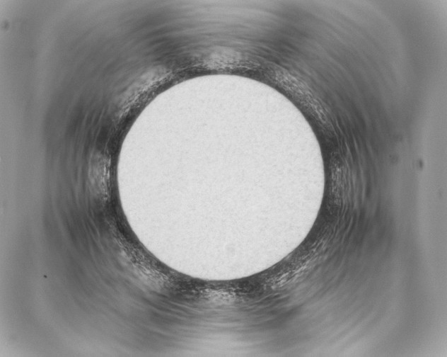 X0000087360592200705111647