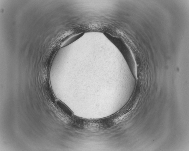 X0000087360593200705111647