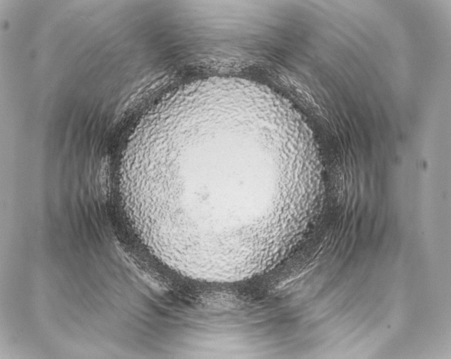 X0000087360594200705111647