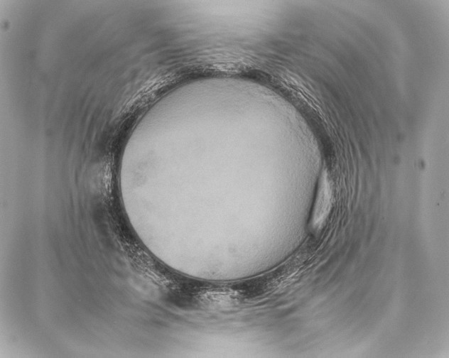 X0000087360595200705111647