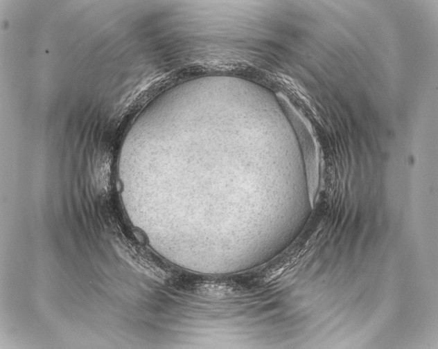 X0000087360596200705111647