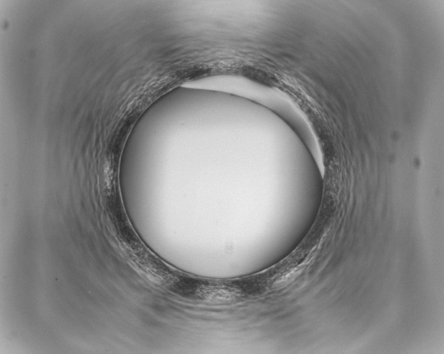 X0000087360597200705111647