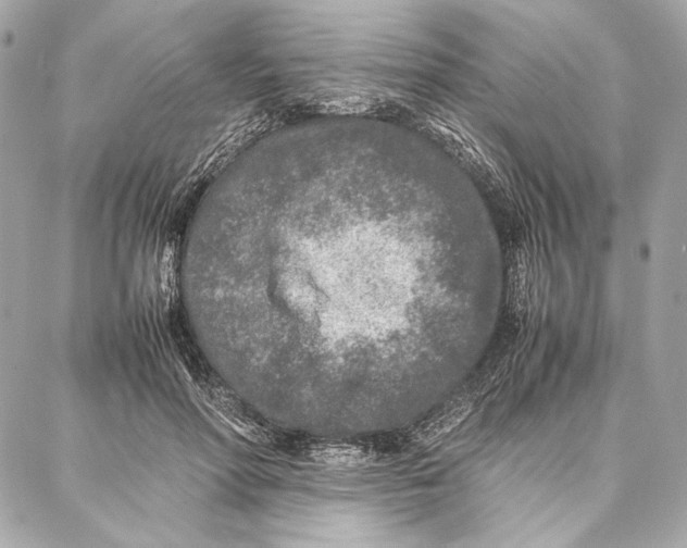 X0000087360598200705111647