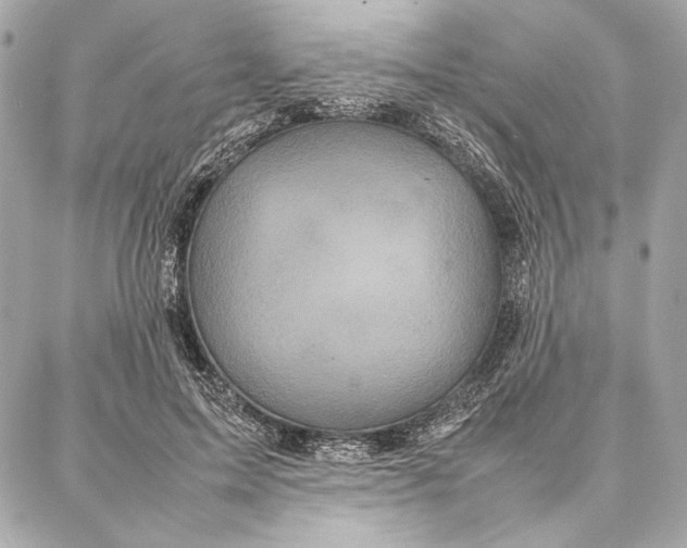 X0000087360599200705111647