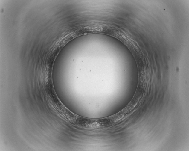 X0000087360600200705111647