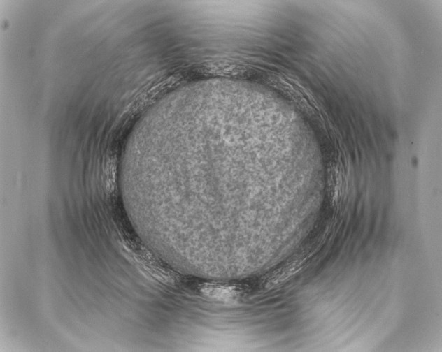 X0000087360602200705111647