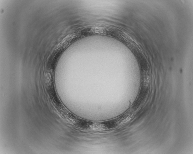 X0000087360603200705111647